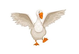 oie d'alarme