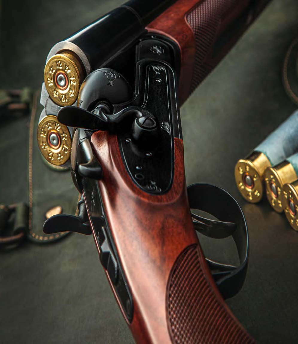 Armoire pour armes WSL